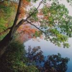 Stress i krop og sind