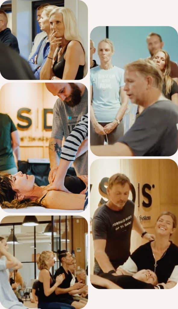 Body SDS massage kursus